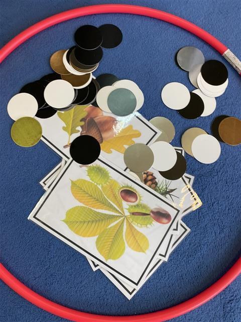 Misie: Październik 2025 - Zdjęcie 333