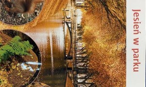 Misie: Październik 2025 - Zdjęcie 60