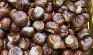 Misie: Październik 2025 - Zdjęcie 85