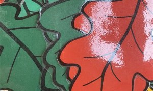 Misie: Październik 2025 - Zdjęcie 86