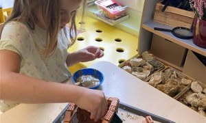 Misie: Październik 2025 - Zdjęcie 100