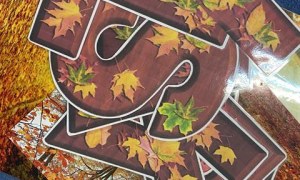 Misie: Październik 2025 - Zdjęcie 104