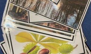 Misie: Październik 2025 - Zdjęcie 106