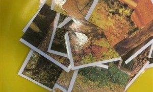 Misie: Październik 2025 - Zdjęcie 112