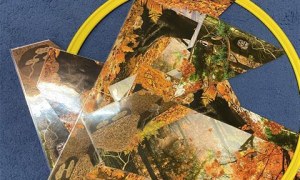 Misie: Październik 2025 - Zdjęcie 114