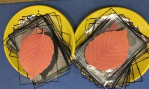 Misie: Październik 2025 - Zdjęcie 123