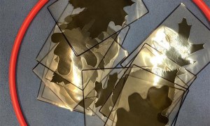 Misie: Październik 2025 - Zdjęcie 130