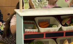 Misie: Październik 2025 - Zdjęcie 169