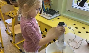 Misie: Październik 2025 - Zdjęcie 295