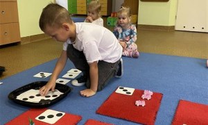 Misie: Październik 2025 - Zdjęcie 331