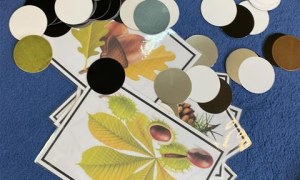 Misie: Październik 2025 - Zdjęcie 333