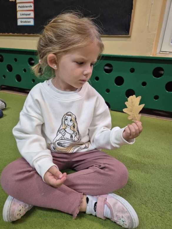 Liski: Wrzesień 2025 - Zdjęcie 7