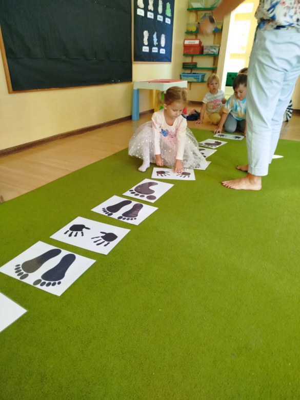 Liski: Wrzesień 2025 - Zdjęcie 13