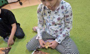 Liski: Wrzesień 2025 - Zdjęcie 2