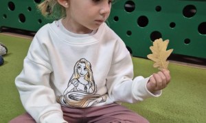 Liski: Wrzesień 2025 - Zdjęcie 7