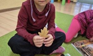 Liski: Wrzesień 2025 - Zdjęcie 30