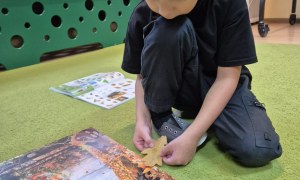 Liski: Wrzesień 2025 - Zdjęcie 32