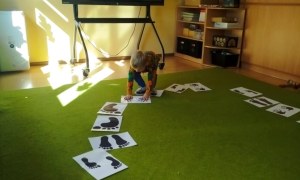 Liski: Wrzesień 2025 - Zdjęcie 33