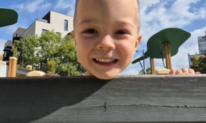 Liski: Wrzesień 2025 - Zdjęcie 40