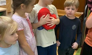 Międzynarodowy Dzień Tolerancji - Zdjęcie 43