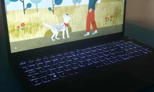 Międzynarodowy Dzień Przeciwdziałania Przemocy wobec Dzieci - Zdjęcie 61