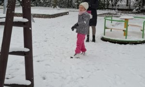 Muminki: Listopad 2025 - Zdjęcie 54