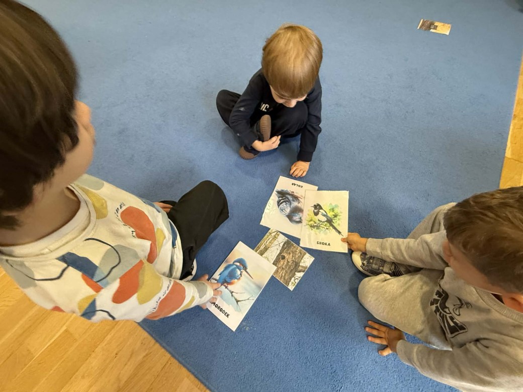 Żabki: Listopad 2025 - Zdjęcie 27