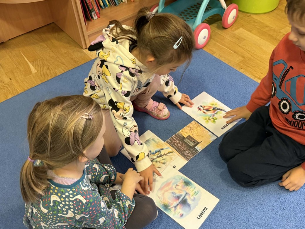 Żabki: Listopad 2025 - Zdjęcie 159