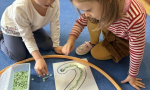 Żabki: Listopad 2025 - Zdjęcie 164