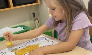 Żabki: Listopad 2025 - Zdjęcie 127