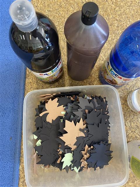 Misie: Listopad 2025 - Zdjęcie 94