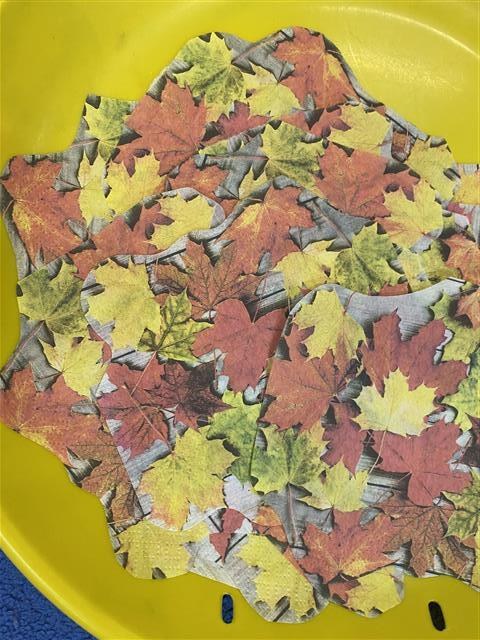 Misie: Listopad 2025 - Zdjęcie 104