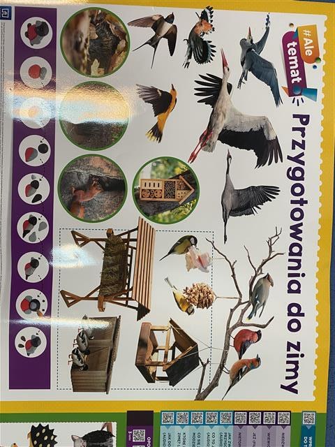 Misie: Listopad 2025 - Zdjęcie 113