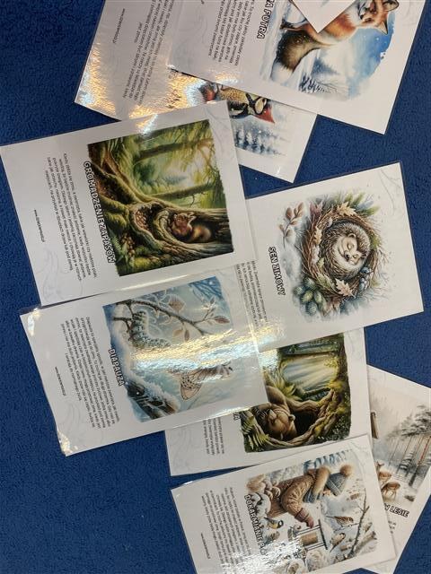 Misie: Listopad 2025 - Zdjęcie 114