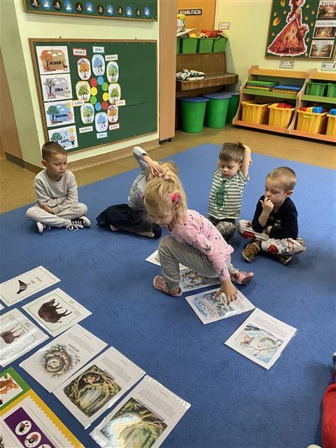 Misie: Listopad 2025 - Zdjęcie 118