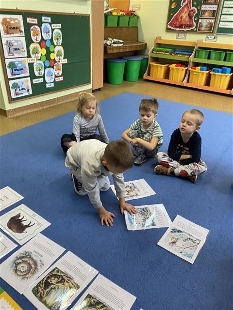 Misie: Listopad 2025 - Zdjęcie 119