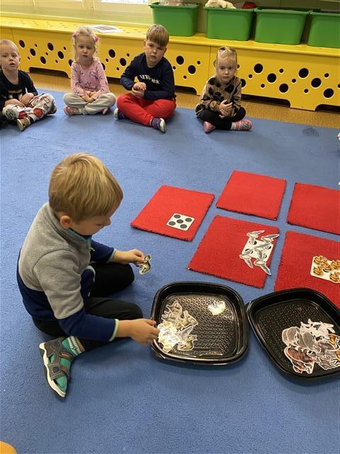 Misie: Listopad 2025 - Zdjęcie 127