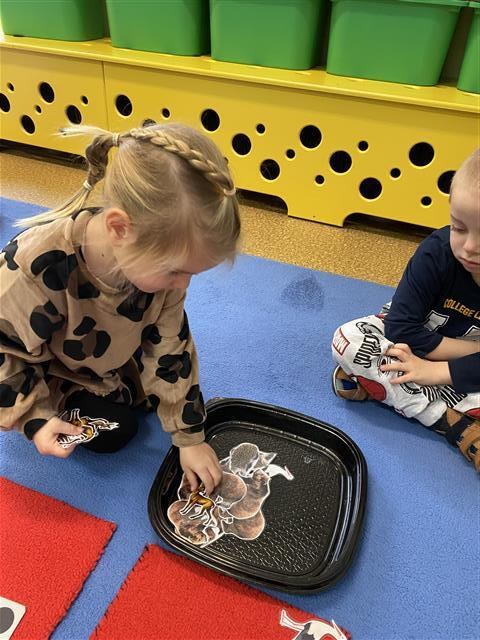 Misie: Listopad 2025 - Zdjęcie 129