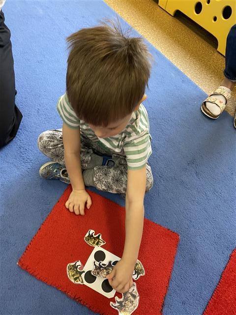 Misie: Listopad 2025 - Zdjęcie 135