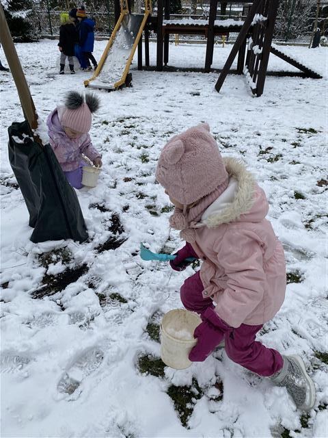 Misie: Listopad 2025 - Zdjęcie 136