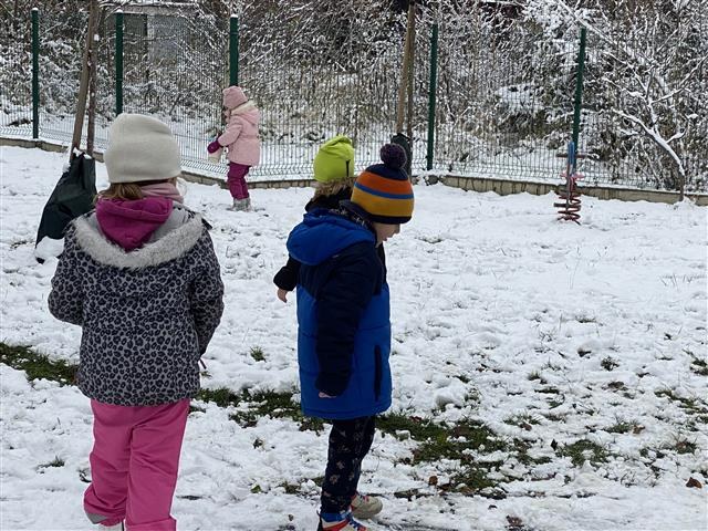 Misie: Listopad 2025 - Zdjęcie 141