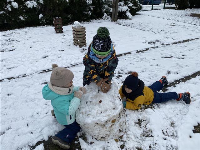 Misie: Listopad 2025 - Zdjęcie 144