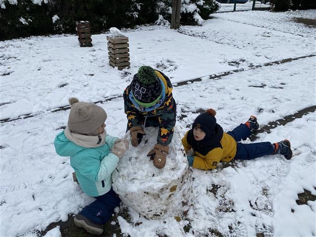 Misie: Listopad 2025 - Zdjęcie 145