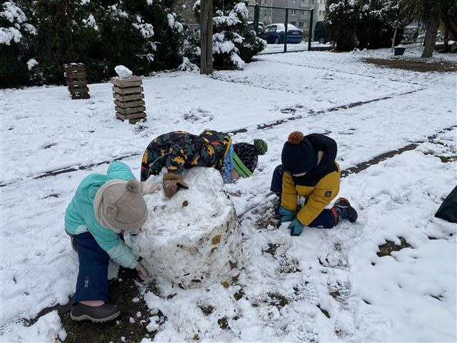 Misie: Listopad 2025 - Zdjęcie 146