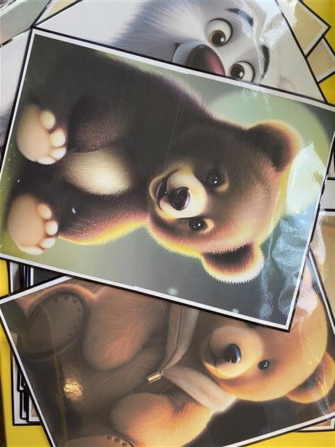 Misie: Listopad 2025 - Zdjęcie 148