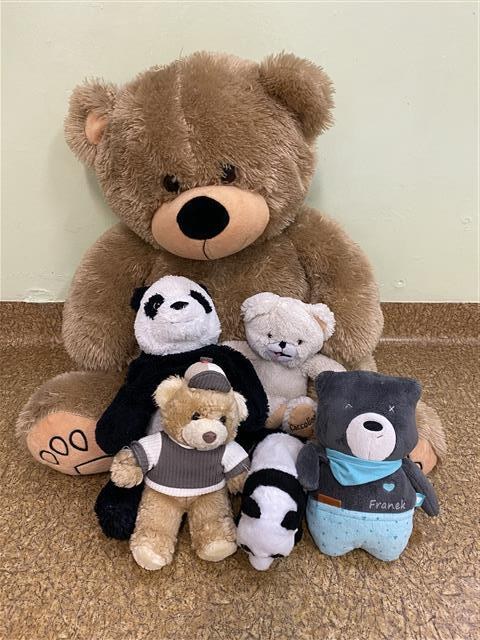 Misie: Listopad 2025 - Zdjęcie 149