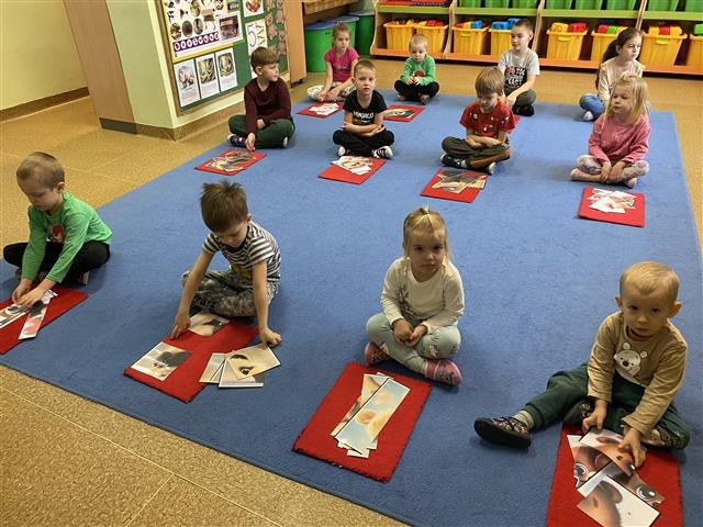 Misie: Listopad 2025 - Zdjęcie 151