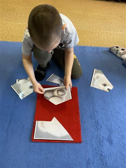 Misie: Listopad 2025 - Zdjęcie 153