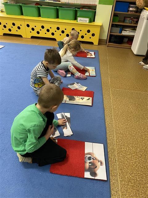 Misie: Listopad 2025 - Zdjęcie 157