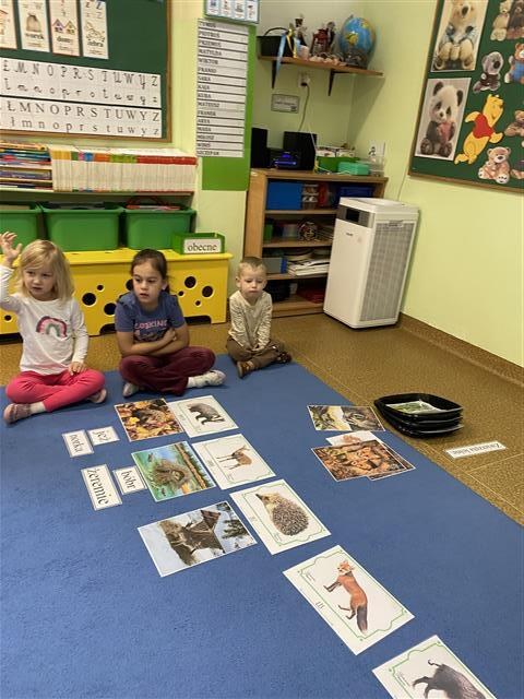 Misie: Listopad 2025 - Zdjęcie 169